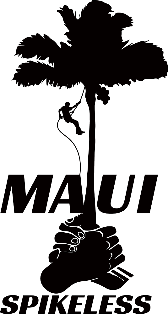 Maui_Spikeless_Logo-535x1000-72ppi-WEB
